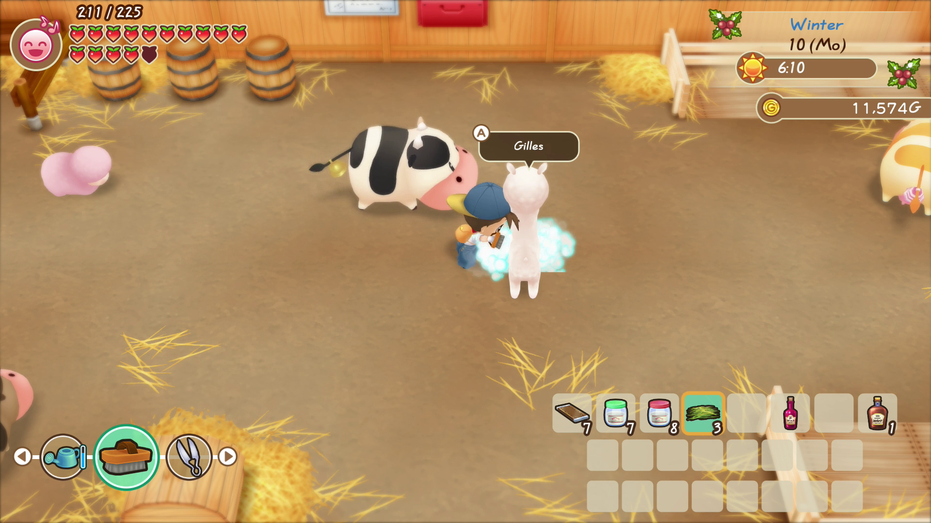 Story of Seasons: Friends of Mineral Town Story of Seasons: Friends of Mineral Town